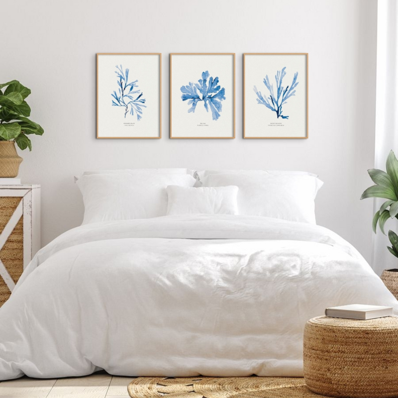 set of three blue seaweed paintings above bed - wall art in blue above white bed