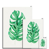 Monstera Leaf Artwork No 2 | Green Botanical Wall Art - Unframed