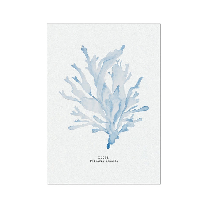 Blue Watercolour Seaweed Print | Dulse Seaweed Painting  - Unframed