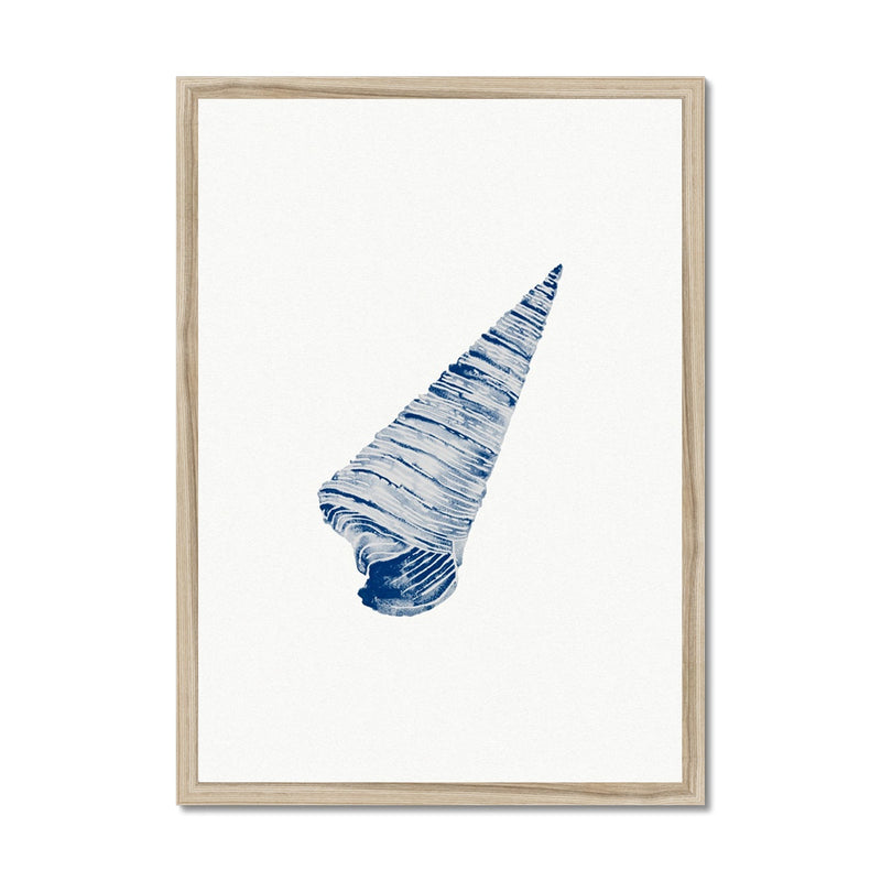 Watercolour Shell Art | Blue Art Cone Shell Print - Framed