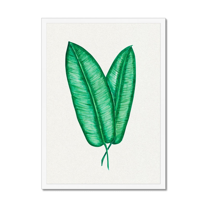 Tropical Leaf Artwork No 1 | Green Botanical Wall Art - Framed