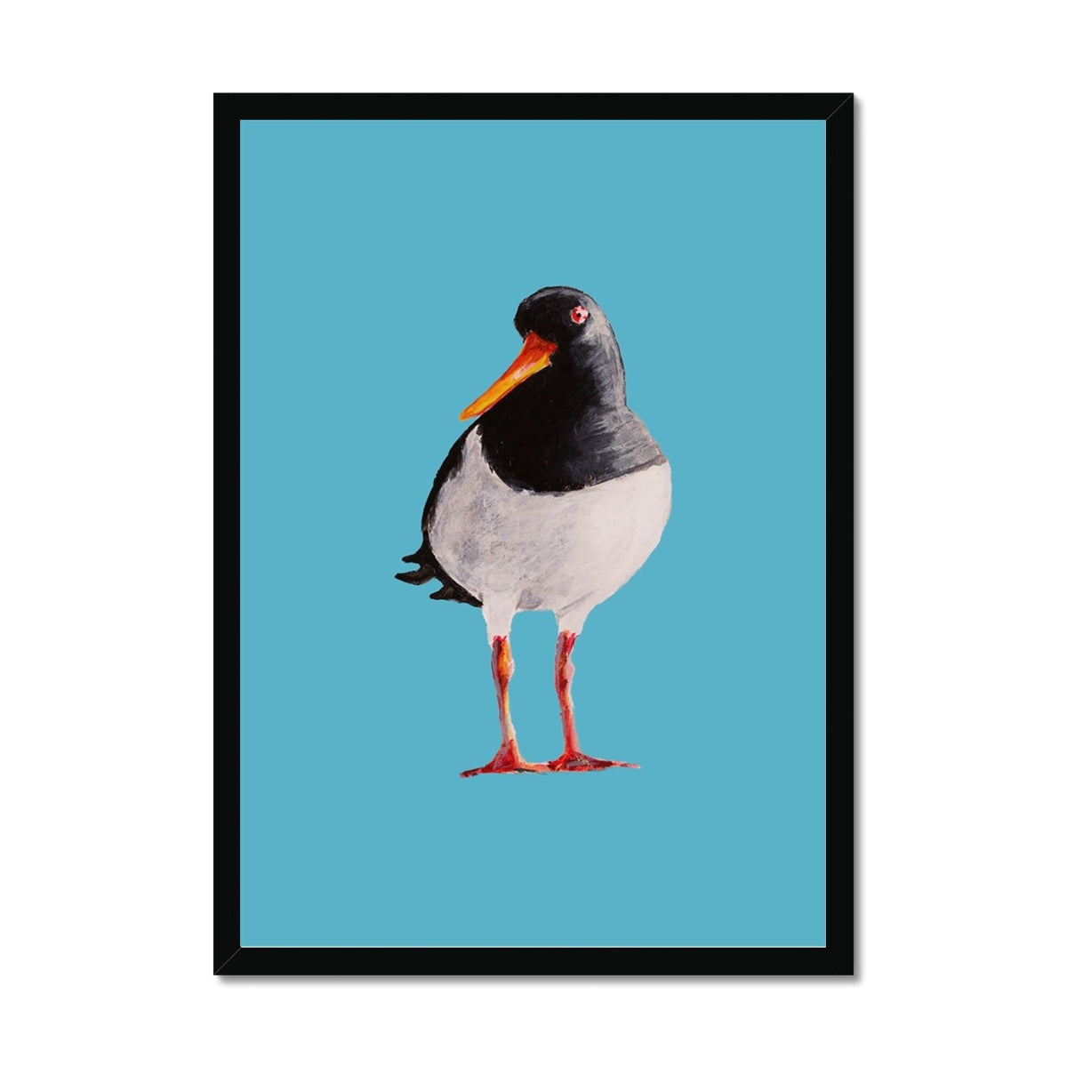 Oyster Catcher Bird Painting | Bird Art Print - Framed