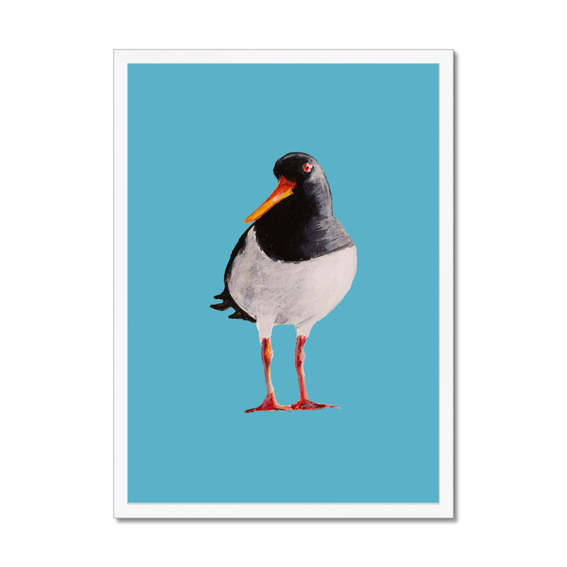 Oyster Catcher Bird Painting | Bird Art Print - Framed