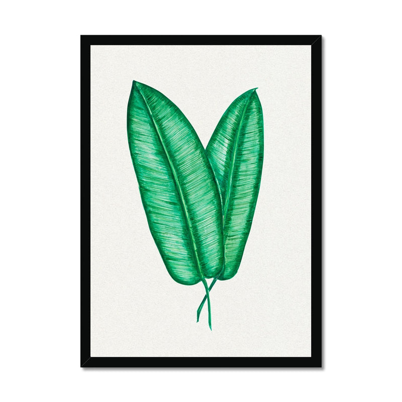 Tropical Leaf Artwork No 1 | Green Botanical Wall Art - Framed