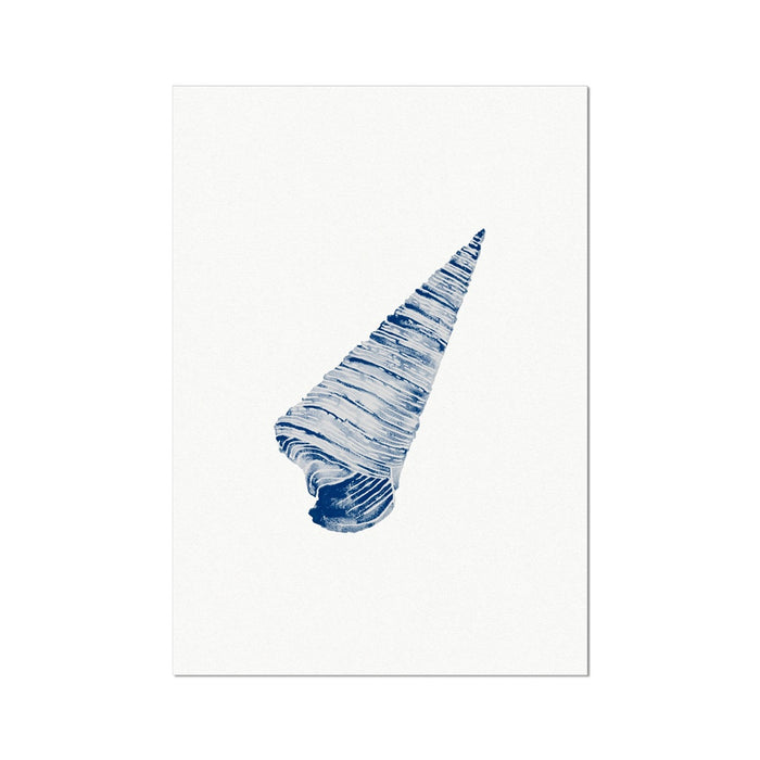 Watercolour Shell Art | Navy Blue Art | Cone Shell Print - Unframed