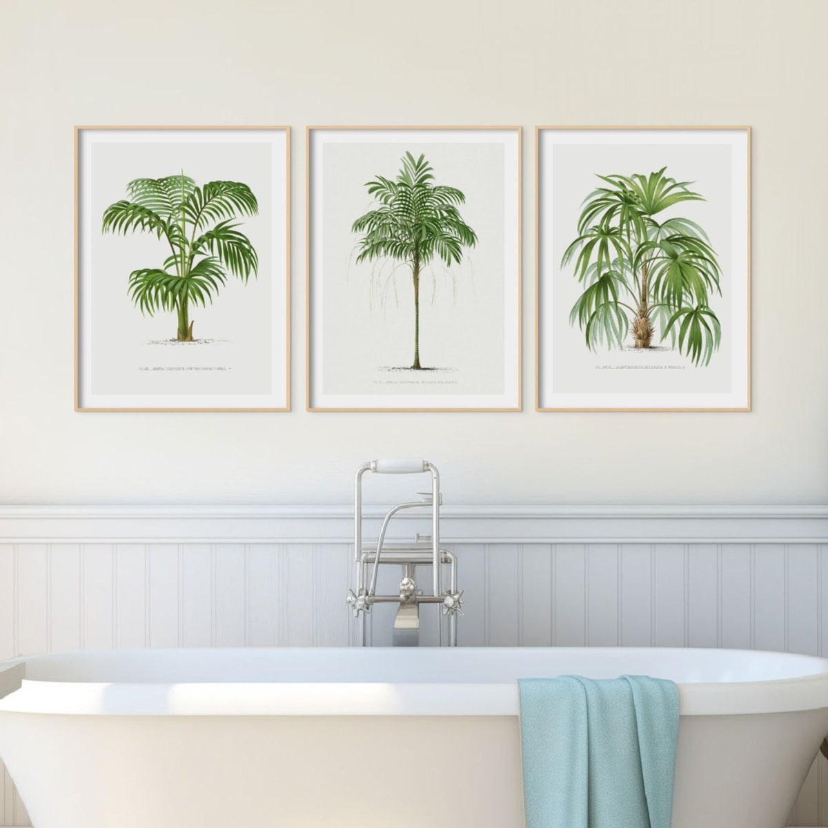 Set of Three Palm Tree Prints - Framed - Beach House Art