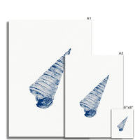 Watercolour Shell Art | Blue Cone Shell Print - Unframed