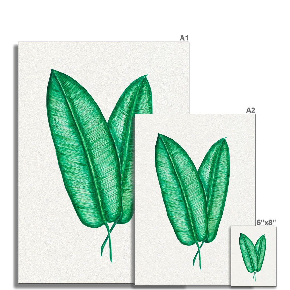 Tropical Leaf Artwork No 1 | Green Botanical Wall Art - Unframed