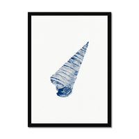 Watercolour Shell Art | Blue Art Cone Shell Print - Framed