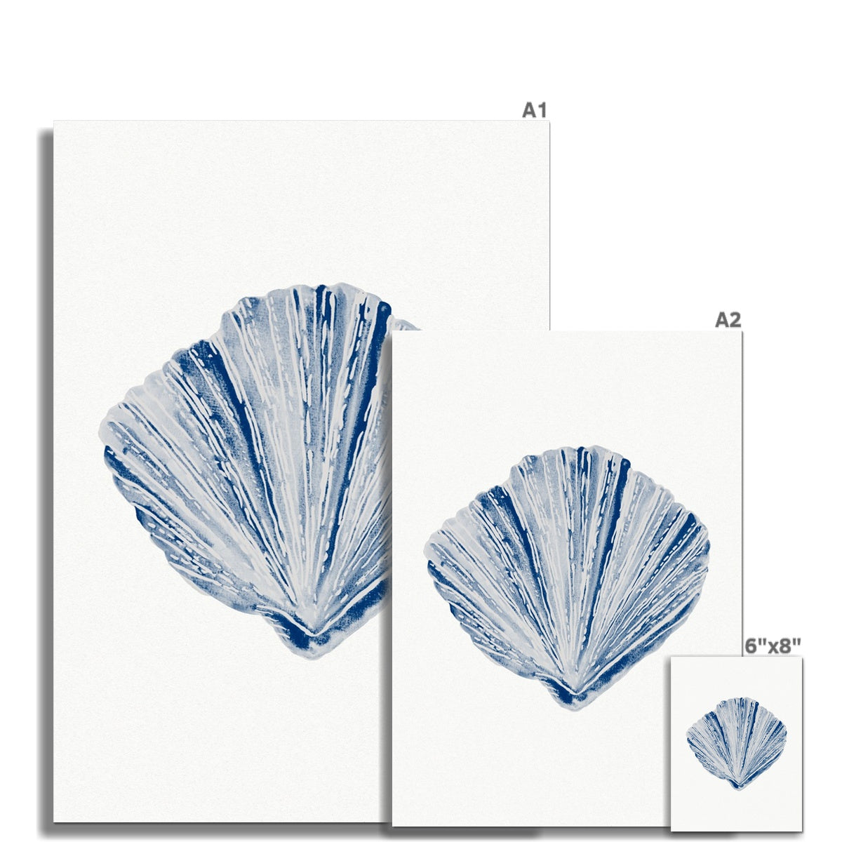 Watercolour Shell Art | Blue Fan Shell Print - Unframed