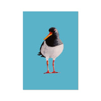 Oyster Catcher Bird Painting | Bird Art Print - Unframed