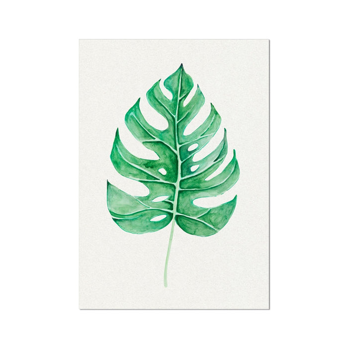 Monstera Leaf Artwork No 1 | Green Botanical Wall Art - Unframed