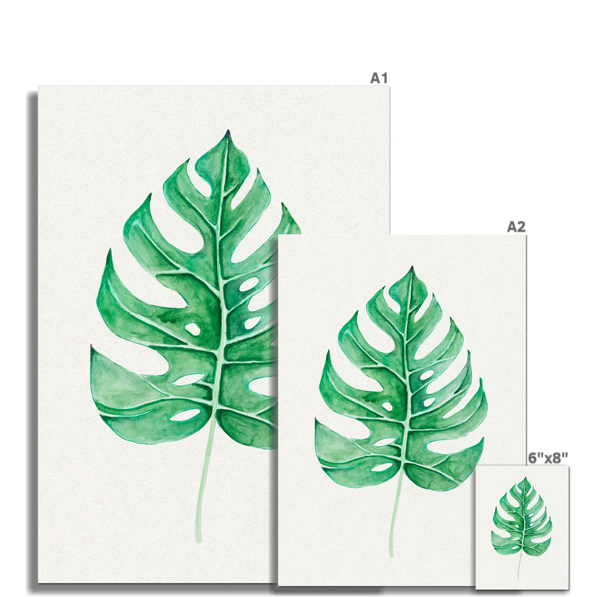 Monstera Leaf Artwork No 1 | Green Botanical Wall Art - Unframed