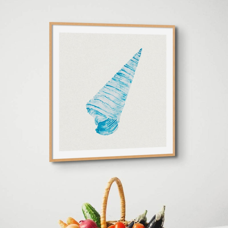 Aqua Watercolour Cone Shell Painting | Shell Print Wall Art - Framed Wall Art