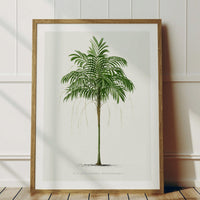 Set of Three Palm Tree Prints - Framed - Beach House Art