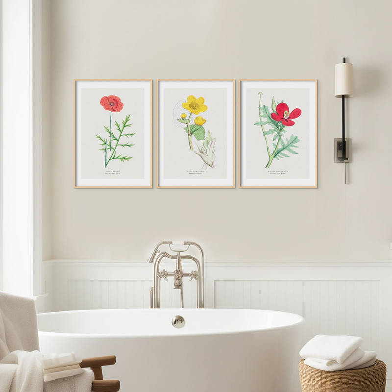 set of vintage flower prints in bathroom above roll top bath.