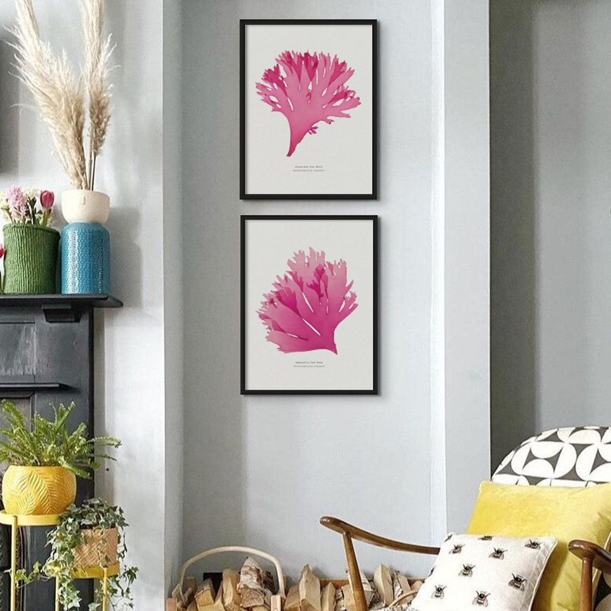 Beautiful Fan Weed No 3 Seaweed Print |Pressed Seaweed Art - Framed