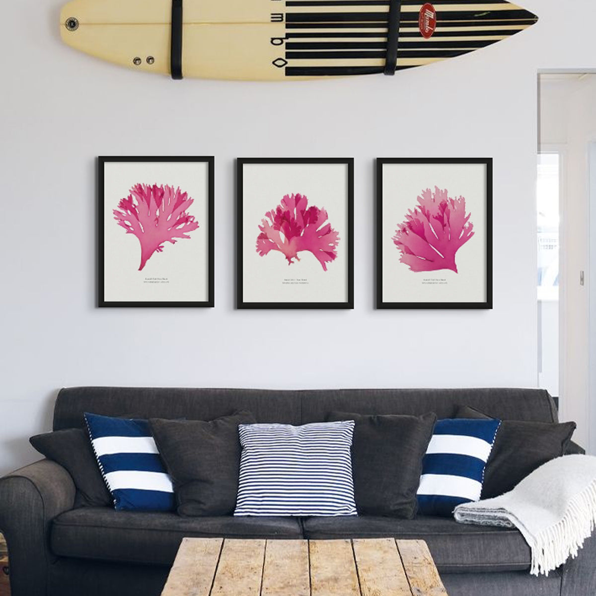 Seaweed Print Wall Art (Portrait) Beautiful Fan Weed No 2 - Framed Seaweed Pressing