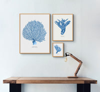 Coral Print | Blue Coral Painting - Framed Coral Print