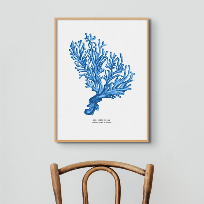 Coral Print | Marine Blue Coral No 5 - Unframed