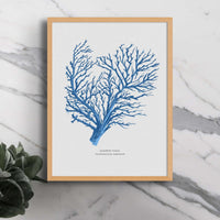 Coral Print | Marine Blue Coral Painting No 1 - Unframed