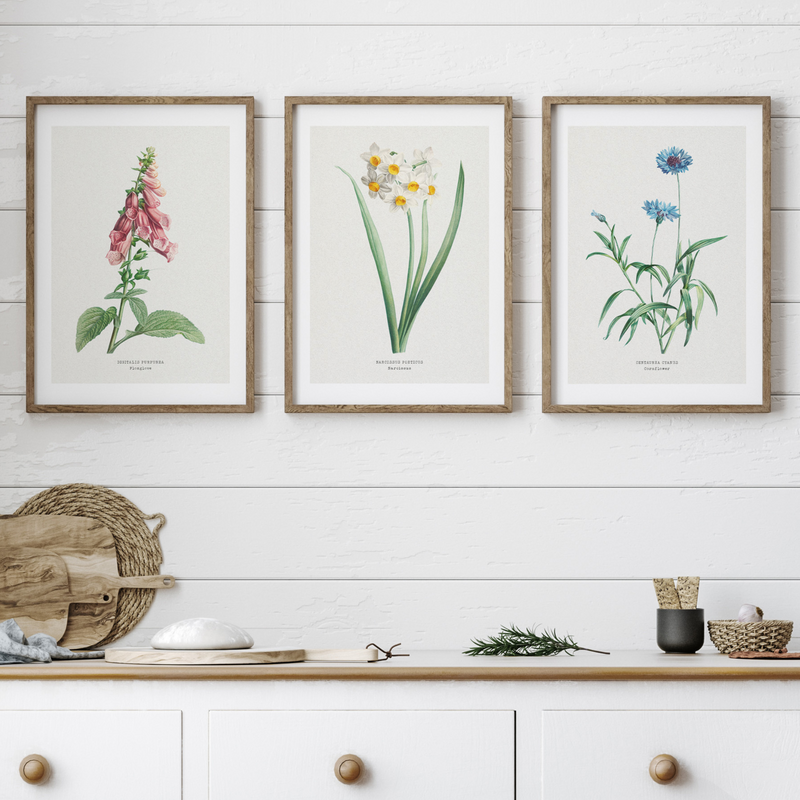 Foxglove Painting | Vintage Flower Print | Botanical Art - Unframed