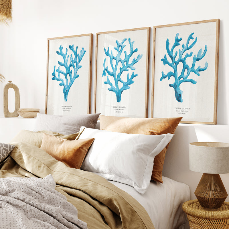 Coral Wall Art | Sea Blue Art Print | Specimen 3 - Framed Beach House Art