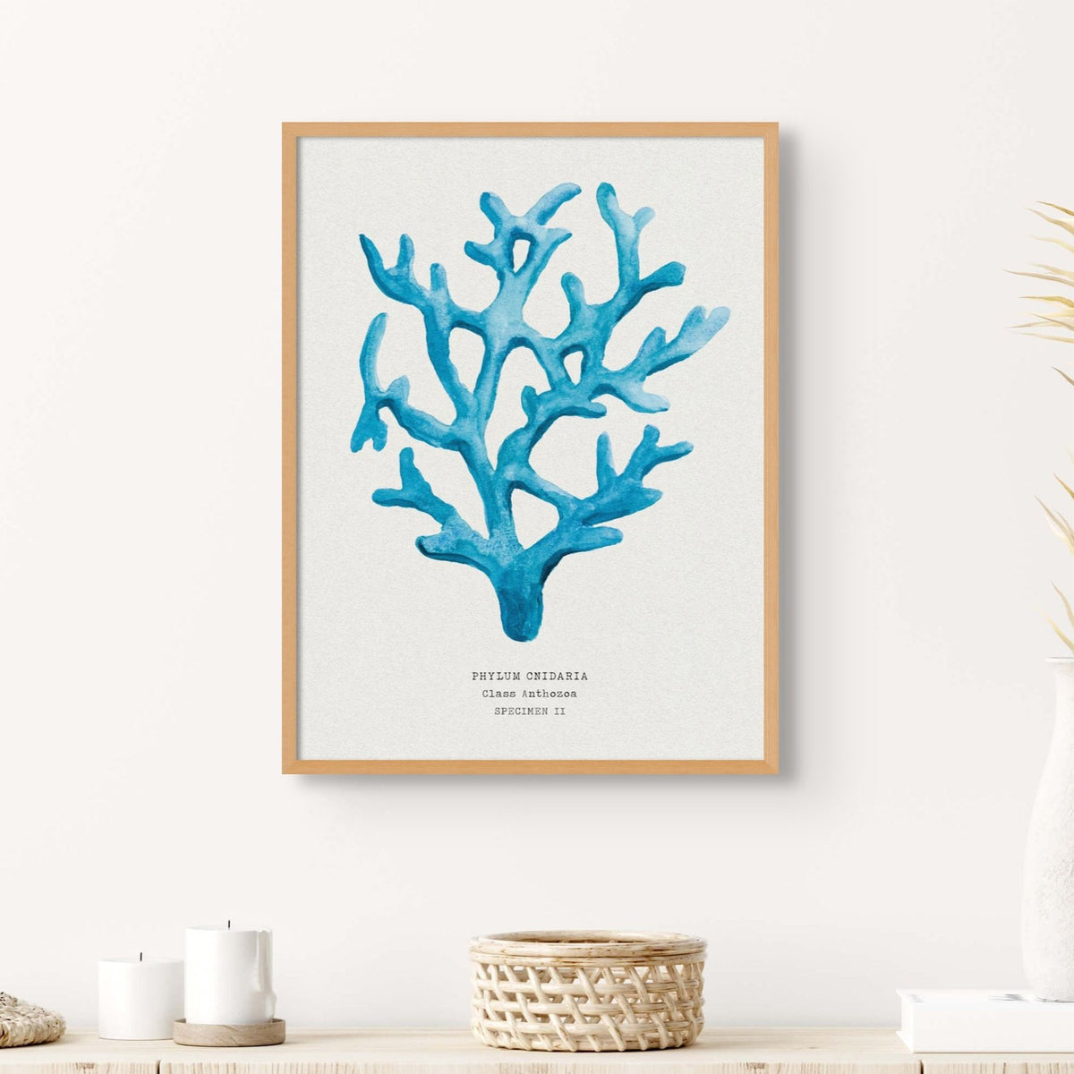 Coral Wall Art | Sea Blue Art Print | Specimen 3 - Framed Beach House Art