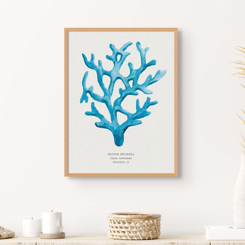 Coral Wall Art | Sea Blue Art Print | Specimen 3 - Framed Beach House Art