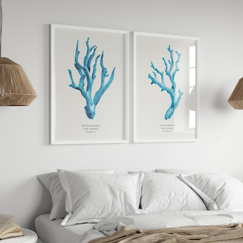 Coral Wall Art | Sea Blue Art Print | Specimen 4 - Unframed Beach House Art