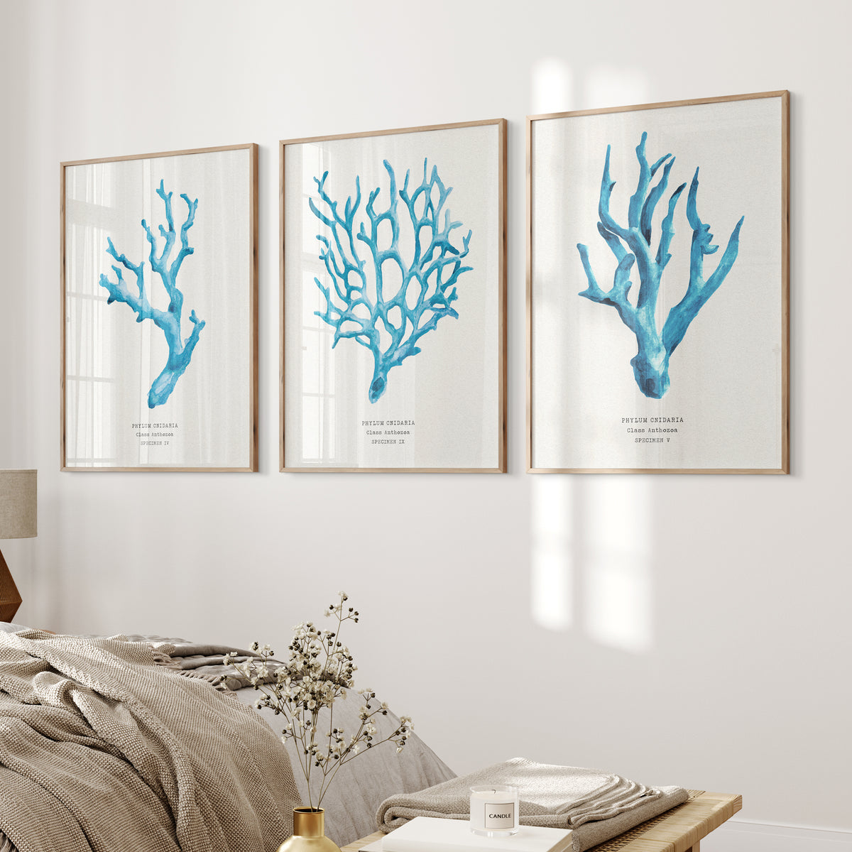 Coral Wall Art | Sea Blue Art Print | Specimen 4 - Unframed Beach House Art