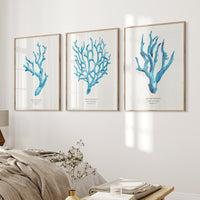 Set of three coral art prints - coral paintings as a set framed in natural frame above a bed. 