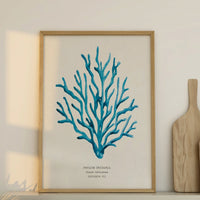 Coral Wall Art | Sea Blue Art Print | Specimen 7 - Framed Beach House Art