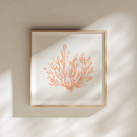 Set of Three Peach Coral and Shells Prints in  Peach - Unframed