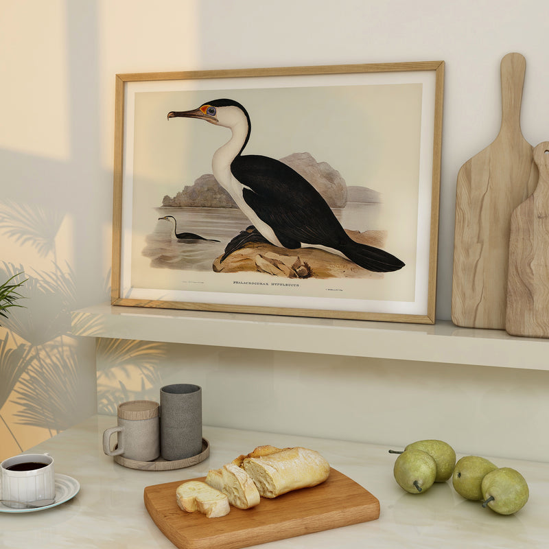 Cormorant Bird Print | Vintage Bird Art Print - Unframed