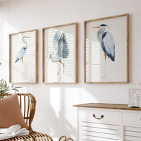 set of three vintage bird prints in a living room avobe a chair. set of three heron prints