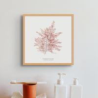 Square Seaweed Print Wall Art | Fern Weed No 1 - Framed