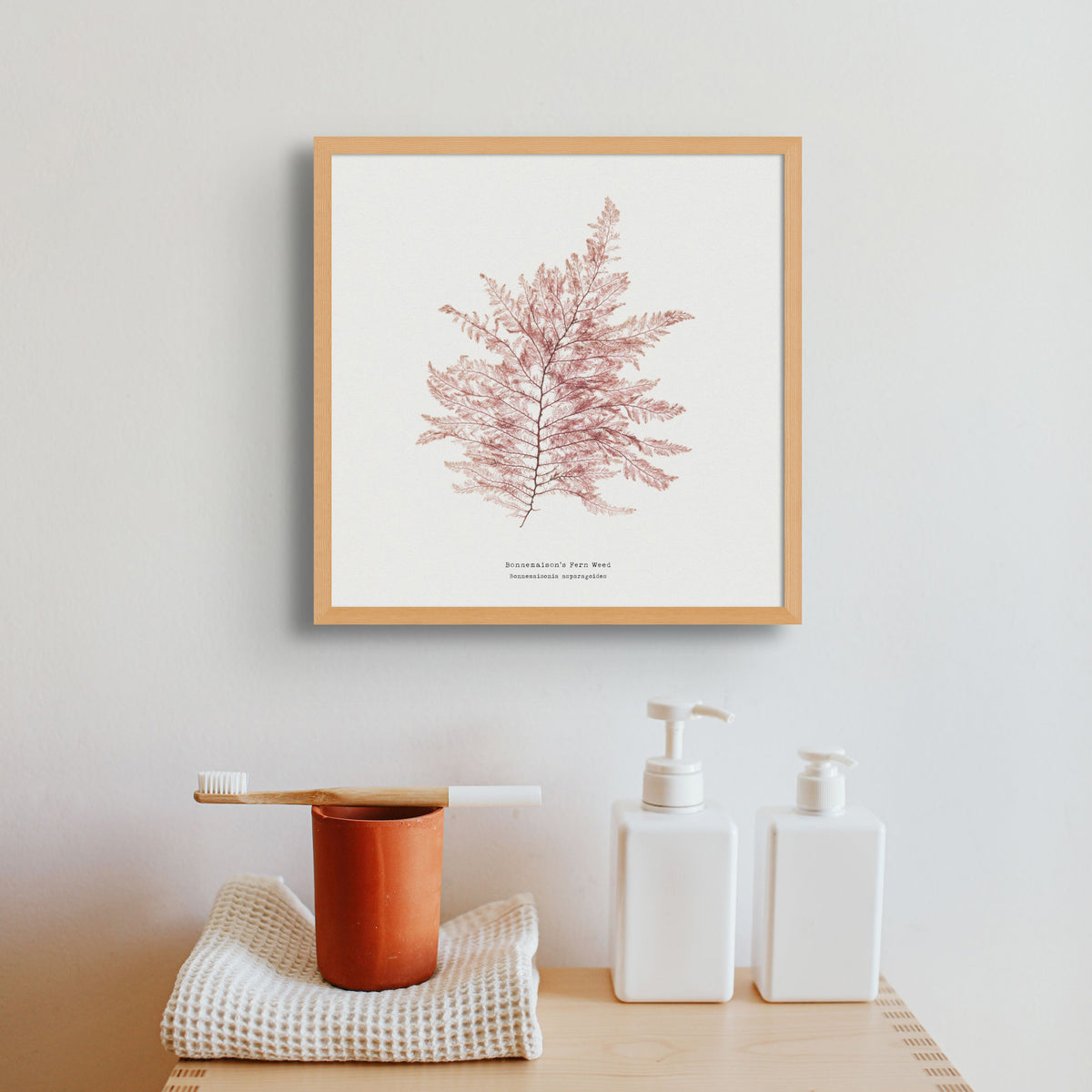 Set Of Two Square Pressed Seaweed Prints | Seaweed Art - Framed