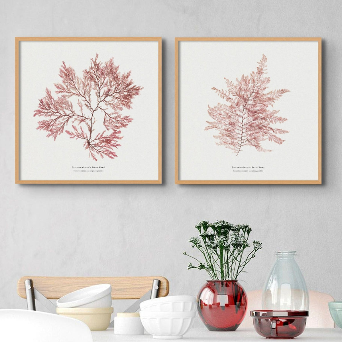 Set of Two Square Pressed Seaweed Prints | Seaweed Art - Unframed