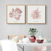 Square Seaweed Print Wall Art | Fern Weed No 1 - Unframed