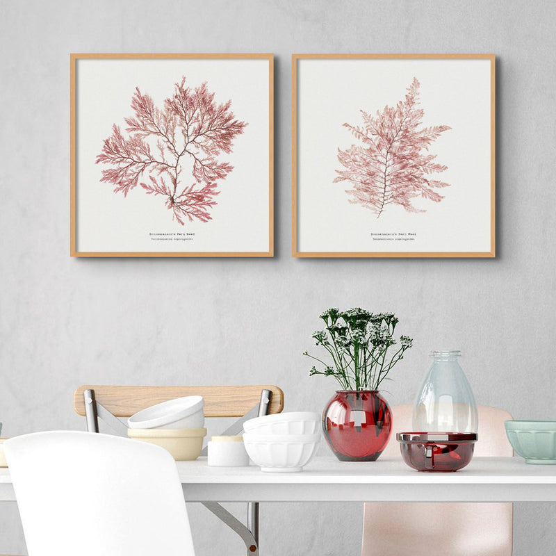 Square Seaweed Print Wall Art | Fern Weed No 1 - Framed