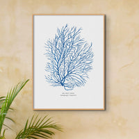 Coral Print | Marine Blue Coral Painting No 3 - Unframed