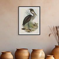 Great Billed Heron Vintage Bird Art Print - Unframed