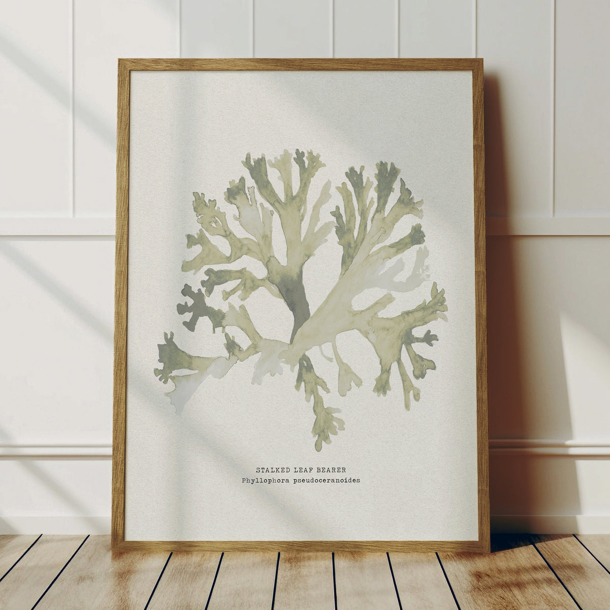 Green Seaweed Art Print | Botanical Watercolour Wall Decor | Stalked Leaf Bearer - Unframed