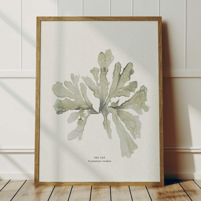 Green Seaweed Art Print | Botanical Watercolour Wall Decor | Sea Oak - Framed