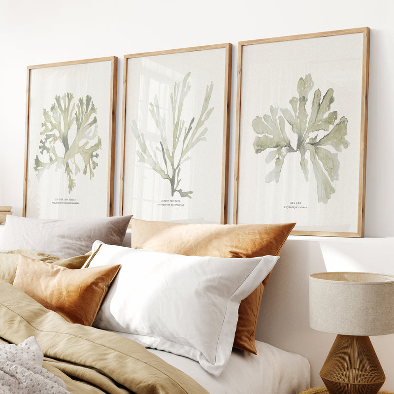 Green Seaweed Art Print | Botanical Watercolour Wall Decor | Papery Fan Weed - Framed