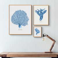 Coral Print | Marine Blue Coral Painting No 2 - Unframed