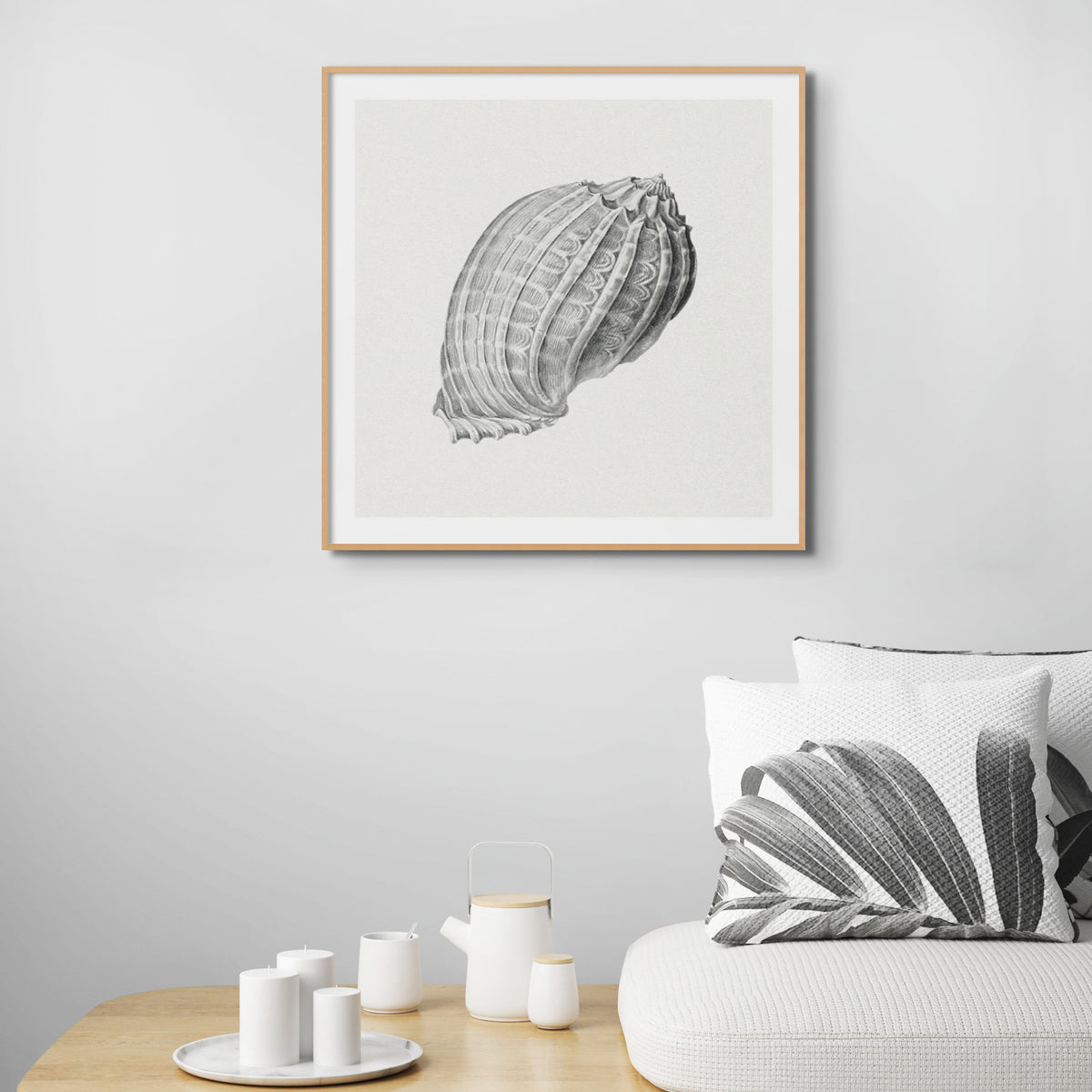 Set of Three Vintage Shell Art Prints | White Background - Framed - Beach House Art