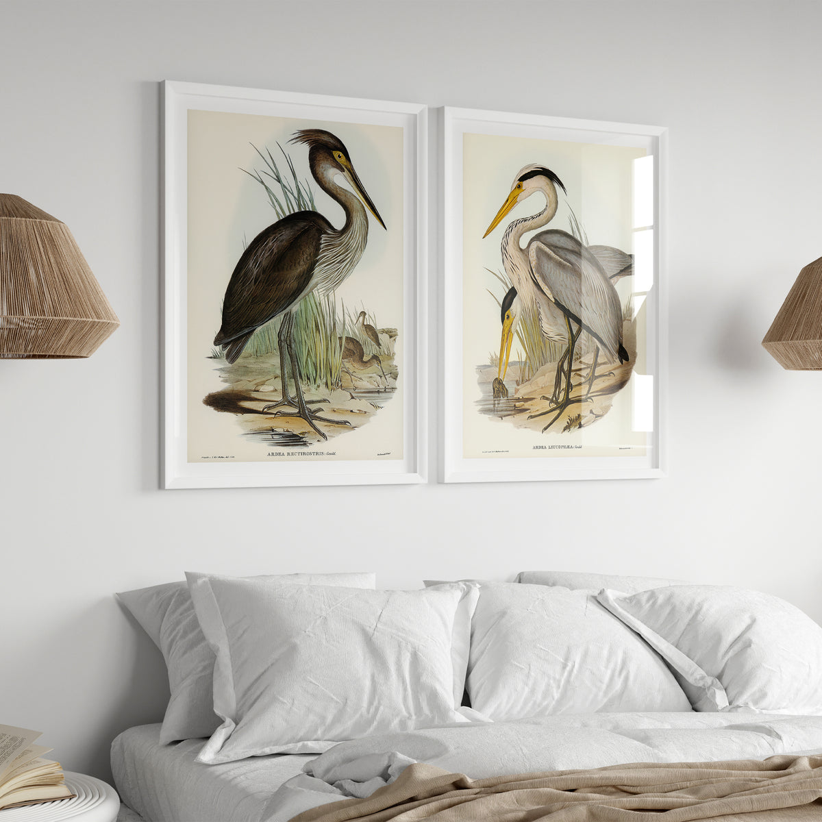 Heron (Great Grey) Vintage Bird Art Print - Framed