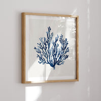 Indigo Coral Print | Coral Wall Art | Watercolour Shell Art - Framed